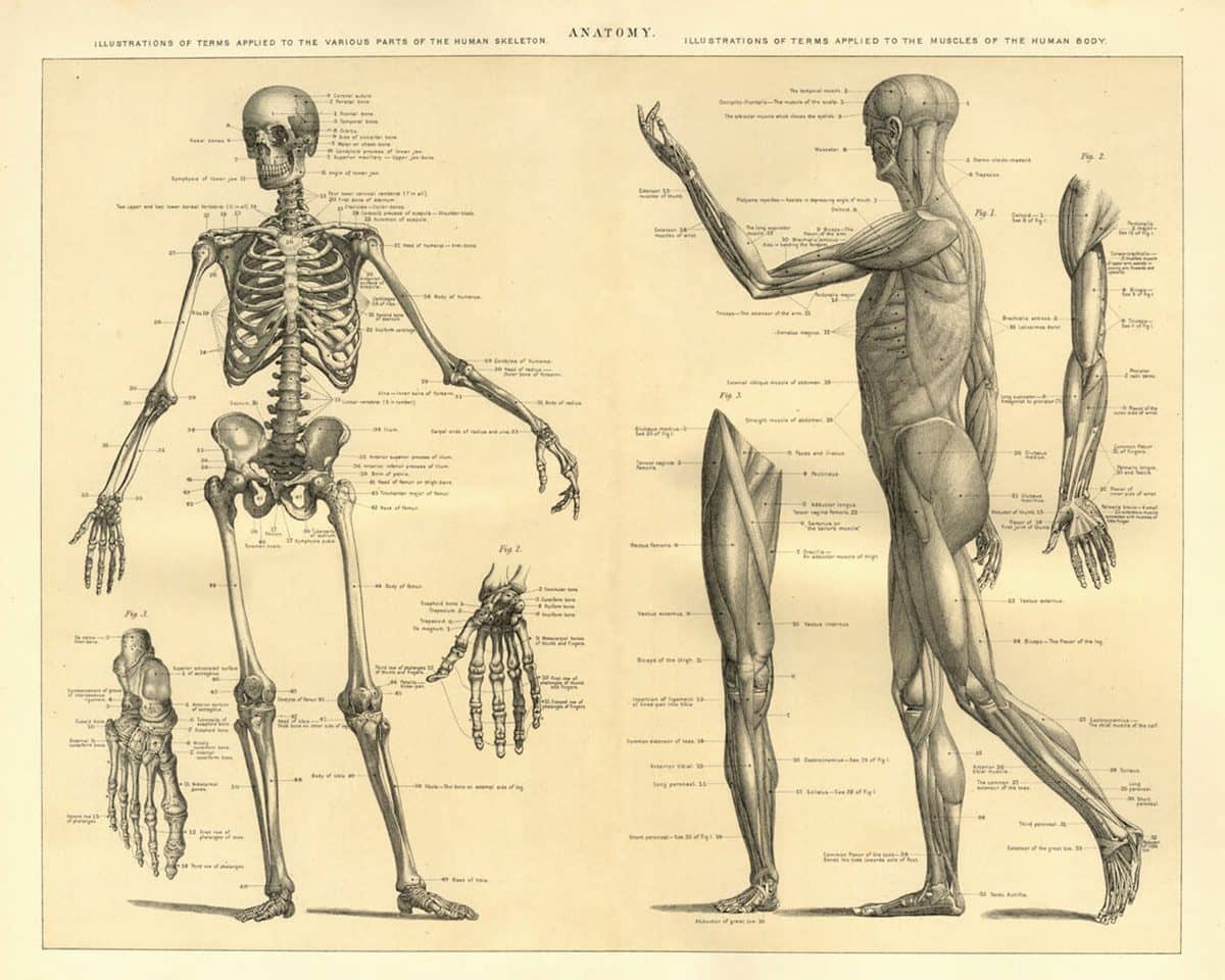 The anatomy of certificates The anatomy of certificates