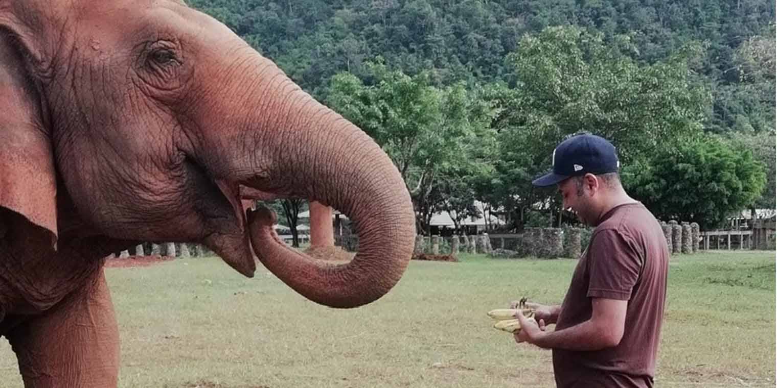 Walking with the elephants: 1E charity sabbatical Walking with the elephants: 1E charity sabbatical